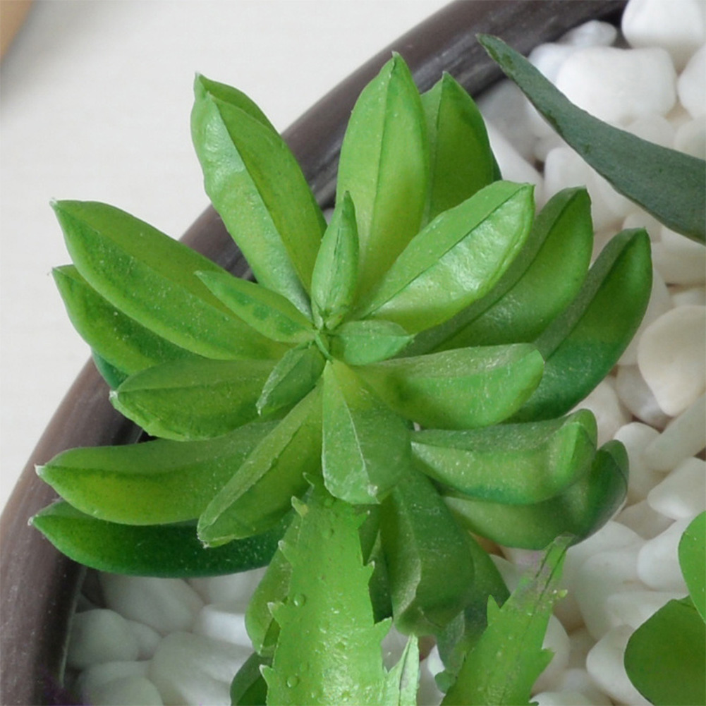 Succulent Arrangement Mini - ของตกแต่งโต๊ะทำงานสำหรับจัดวางต้นไม้อวบน้ำและต้นบอนไซขนาดเล็ก เหมาะสำหรับตกแต่งบ้าน สำนักงาน ห้องนั่งเล่น หรือมุมอ่านหนังสือ