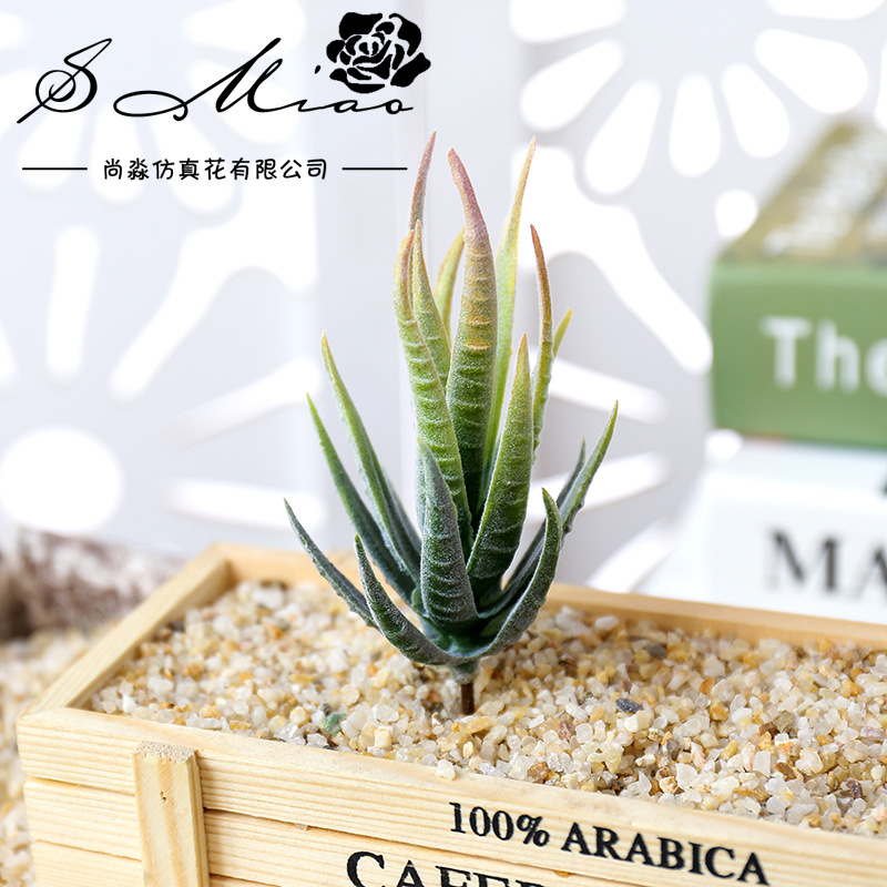 Succulent Arrangement Mini - วูสมาร์ท แบน มา ลู่ ฮุย ต้นไม้ประดิษฐ์