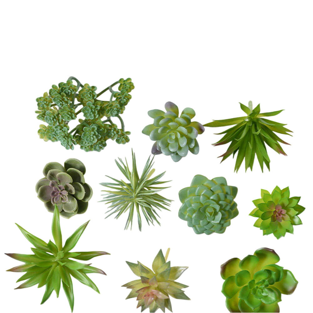 ของตกแต่งโต๊ะทำงานสำหรับจัดวาง - Succulent Arrangement Mini บทวิจารณ์และราคา