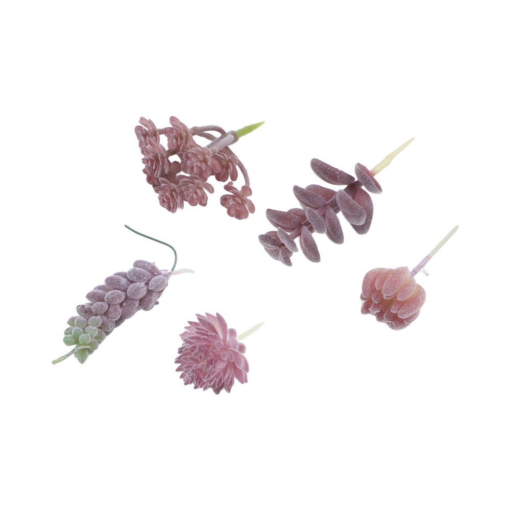 ของตกแต่งโต๊ะทำงานสำหรับจัดวาง - Succulent Arrangement Mini บทวิจารณ์และราคา