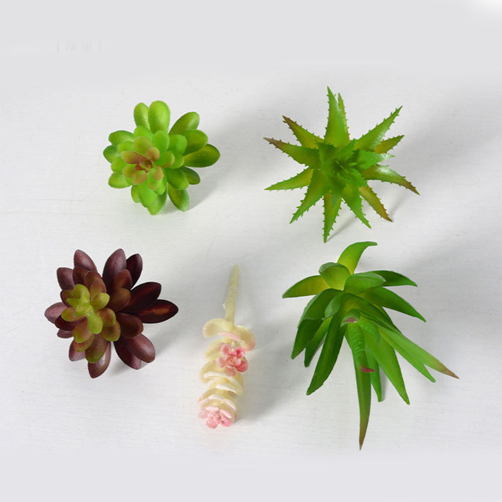 ของตกแต่งโต๊ะทำงานสำหรับจัดวาง - Succulent Arrangement Mini บทวิจารณ์และราคา