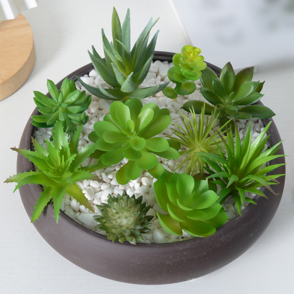 ต้นไม้ประดิษฐ์สำหรับจัดตกแต่งม - Succulent Arrangement Mini บทวิจารณ์และราคา