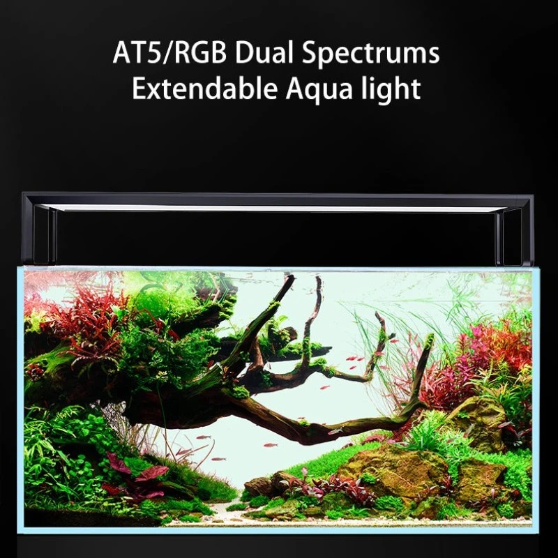 Netlea AT5S V4 ไฟ LED สำหรับตู - Plant Parent App บทวิจารณ์และราคา