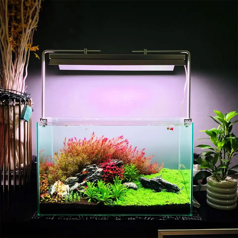 WEEK AQUA L Series, โคมไฟ LED  - Plant Parent App บทวิจารณ์และราคา