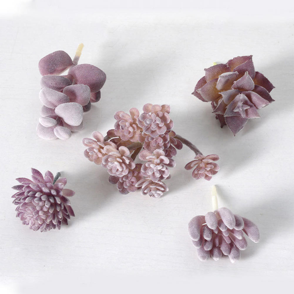 กระถางต้นไม้จิ๋วสวยงามสำหรับจั - Succulent Arrangement Mini บทวิจารณ์และราคา