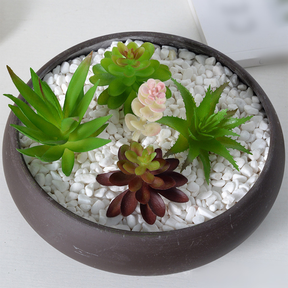 อุปกรณ์ประกอบฉากถ่ายภาพสำหรับจ - Succulent Arrangement Mini บทวิจารณ์และราคา