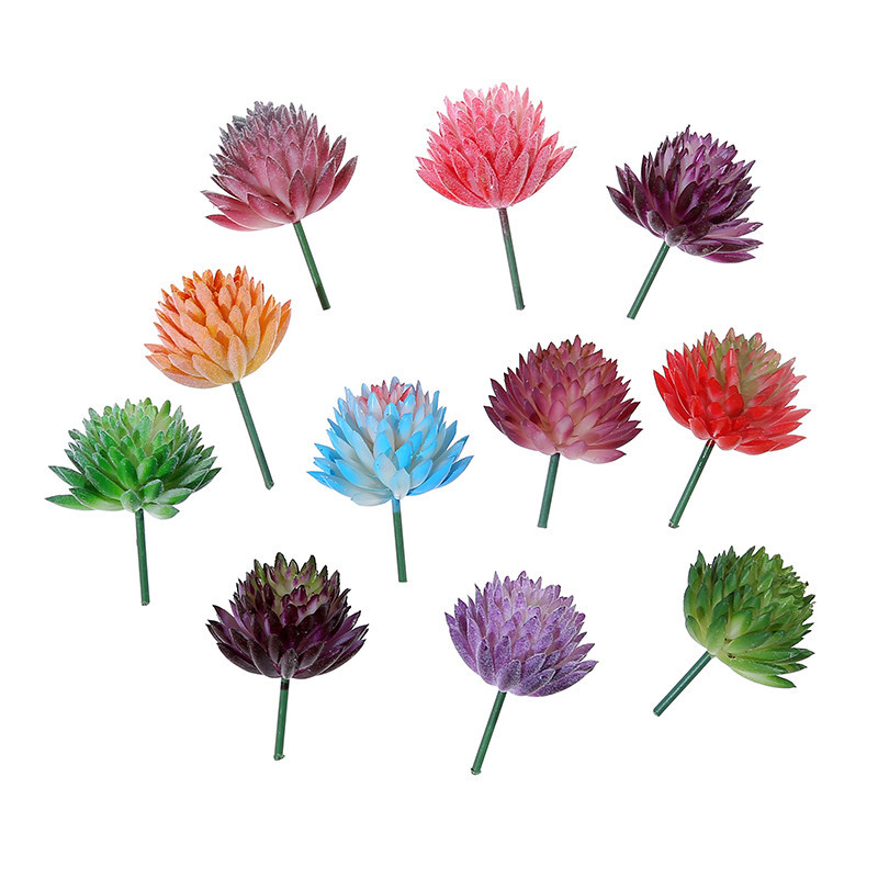 Wusmart Ji WA Lian ไม้อวบน้ำปร - Succulent Arrangement Mini บทวิจารณ์และราคา