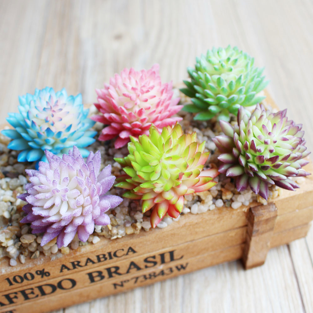 Wusmart Ji WA Lian ไม้อวบน้ำปร - Succulent Arrangement Mini บทวิจารณ์และราคา