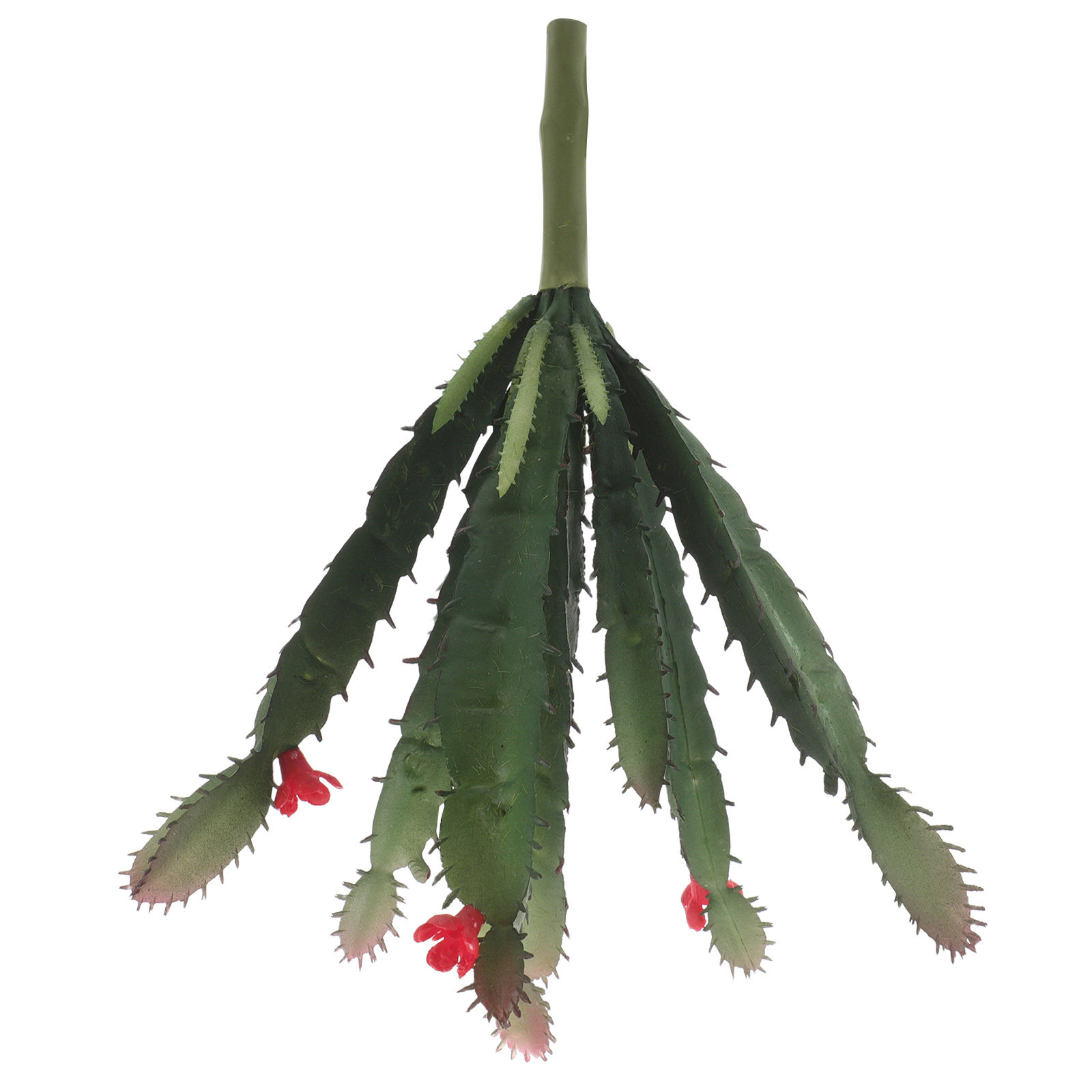 ชุดจัดดอกไม้แคคตัสและไม้อวบน้ำ - Succulent Arrangement Mini บทวิจารณ์และราคา