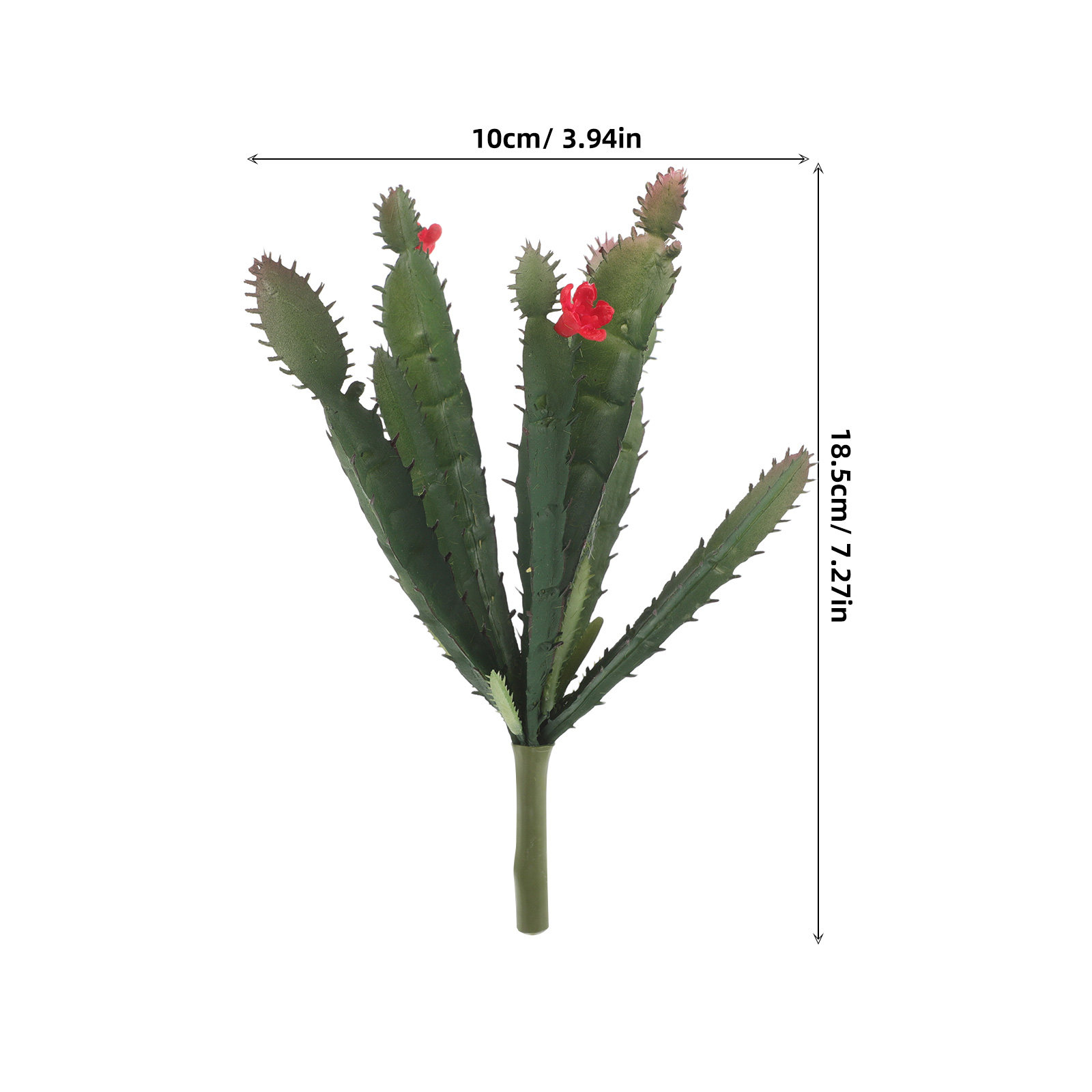ชุดจัดดอกไม้แคคตัสและไม้อวบน้ำ - Succulent Arrangement Mini บทวิจารณ์และราคา