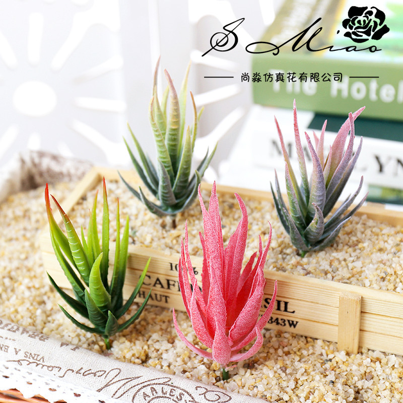 วูสมาร์ท แบน มา ลู่ ฮุย ต้นไม้ - Succulent Arrangement Mini บทวิจารณ์และราคา