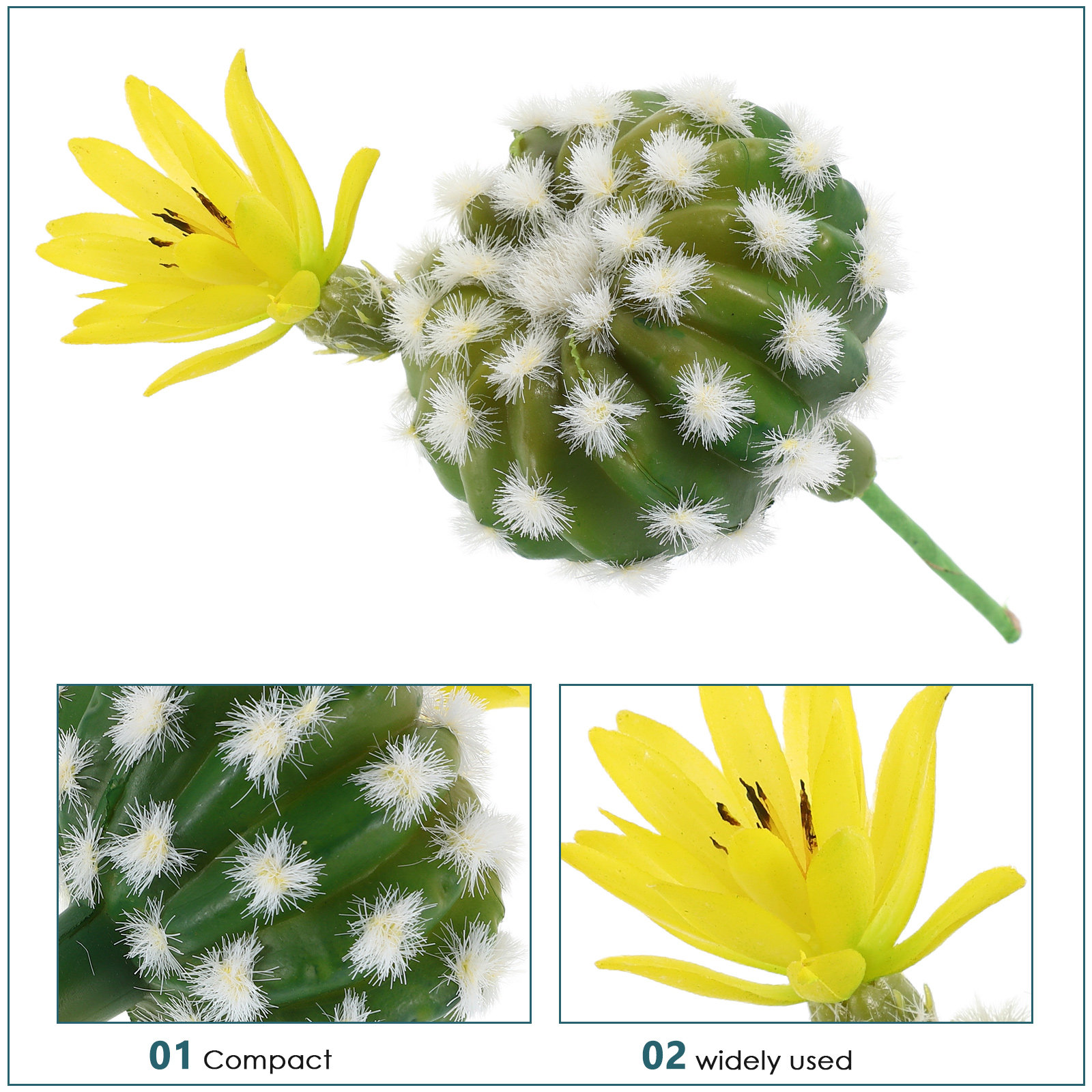 ต้นกระบองเพชรและไม้อวบน้ำประดิ - Succulent Arrangement Mini บทวิจารณ์และราคา